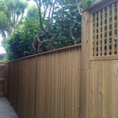 Fencing 12