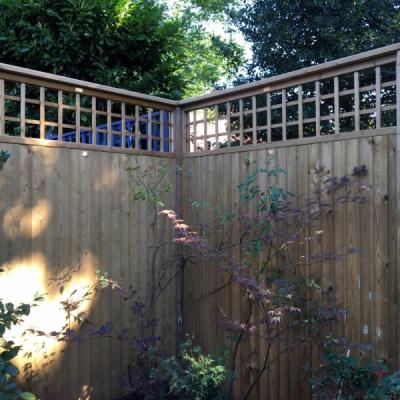Fencing 1