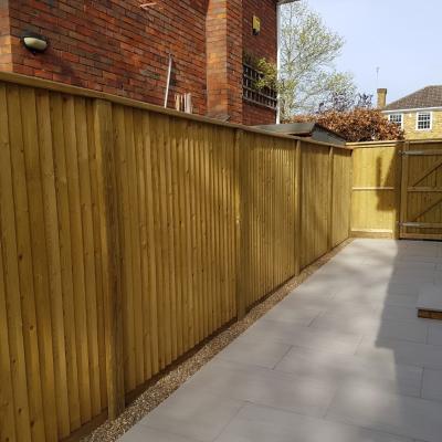 Fencing 31