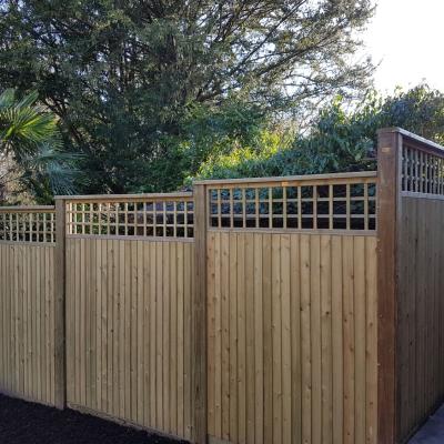 Fencing 51