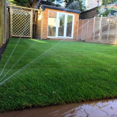 Water Feature 5