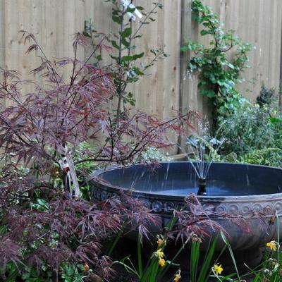 Water Feature 6