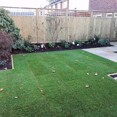 Turfing 6