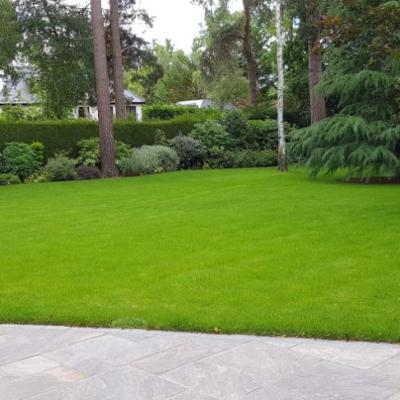 Turfing 92
